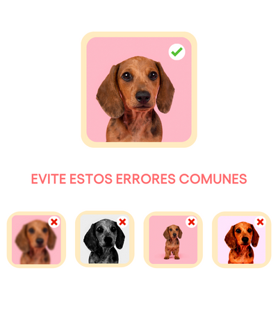 Para un resultado claro y nítido